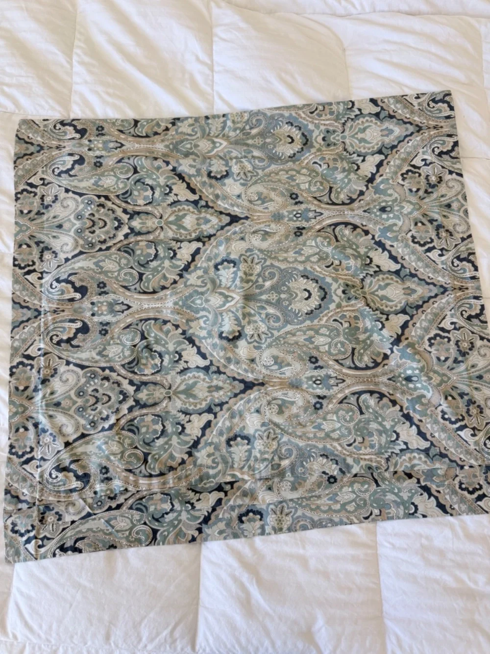 Pottery Barn Mackenna Paisley Euro Sham